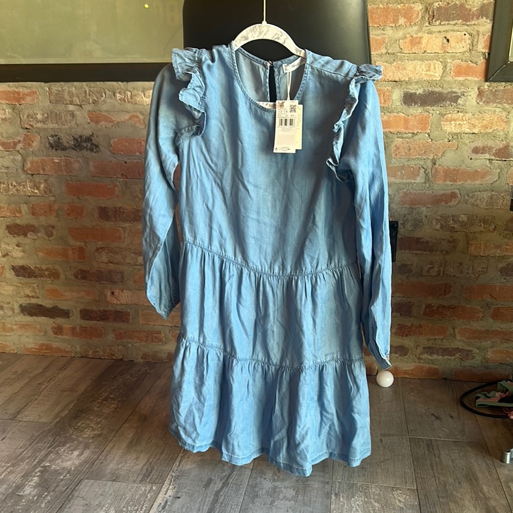 Mango Blue Long Sleeve Flutter Sundress